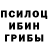 Псилоцибиновые грибы Psilocybine cubensis sh0ti