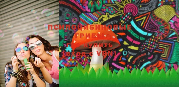 винт Богородицк