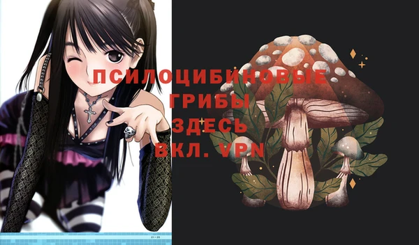 таблы Богданович